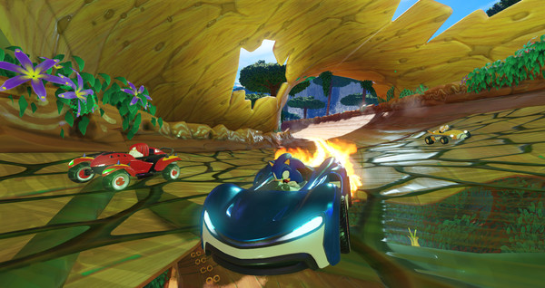 team sonic racing