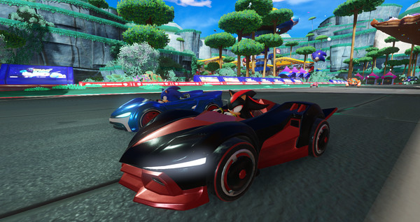 team sonic racing3