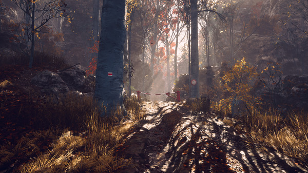 someday you'll return