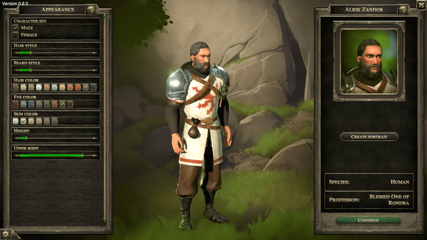 the dark eye - book of heroes3