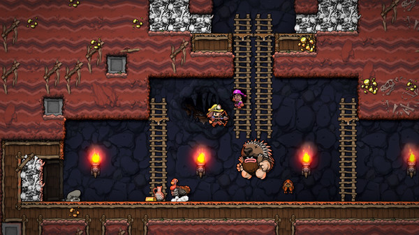 spelunky 2c