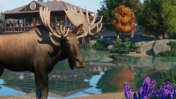 planet zoo